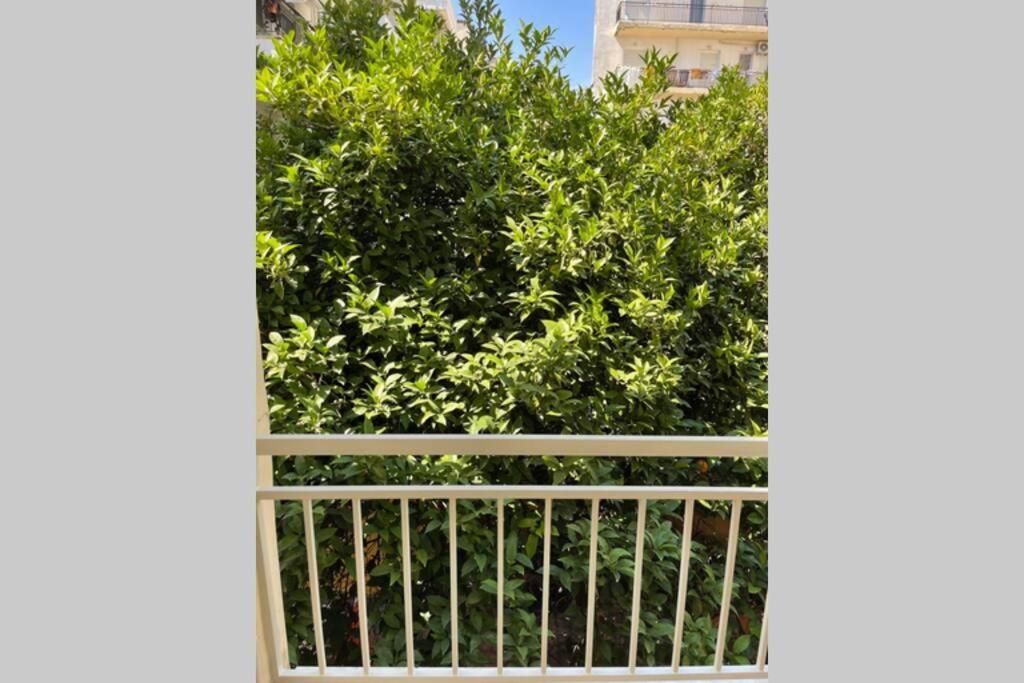 Studio Stay Apartment 卡拉马塔 外观 照片